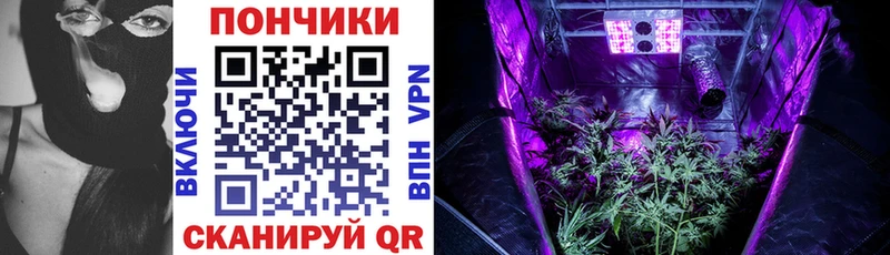 Бошки Шишки Amnesia  Купить  Новокубанск 